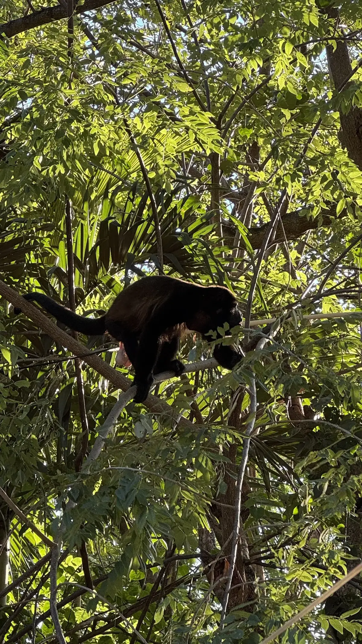 nicaragua-4.webp