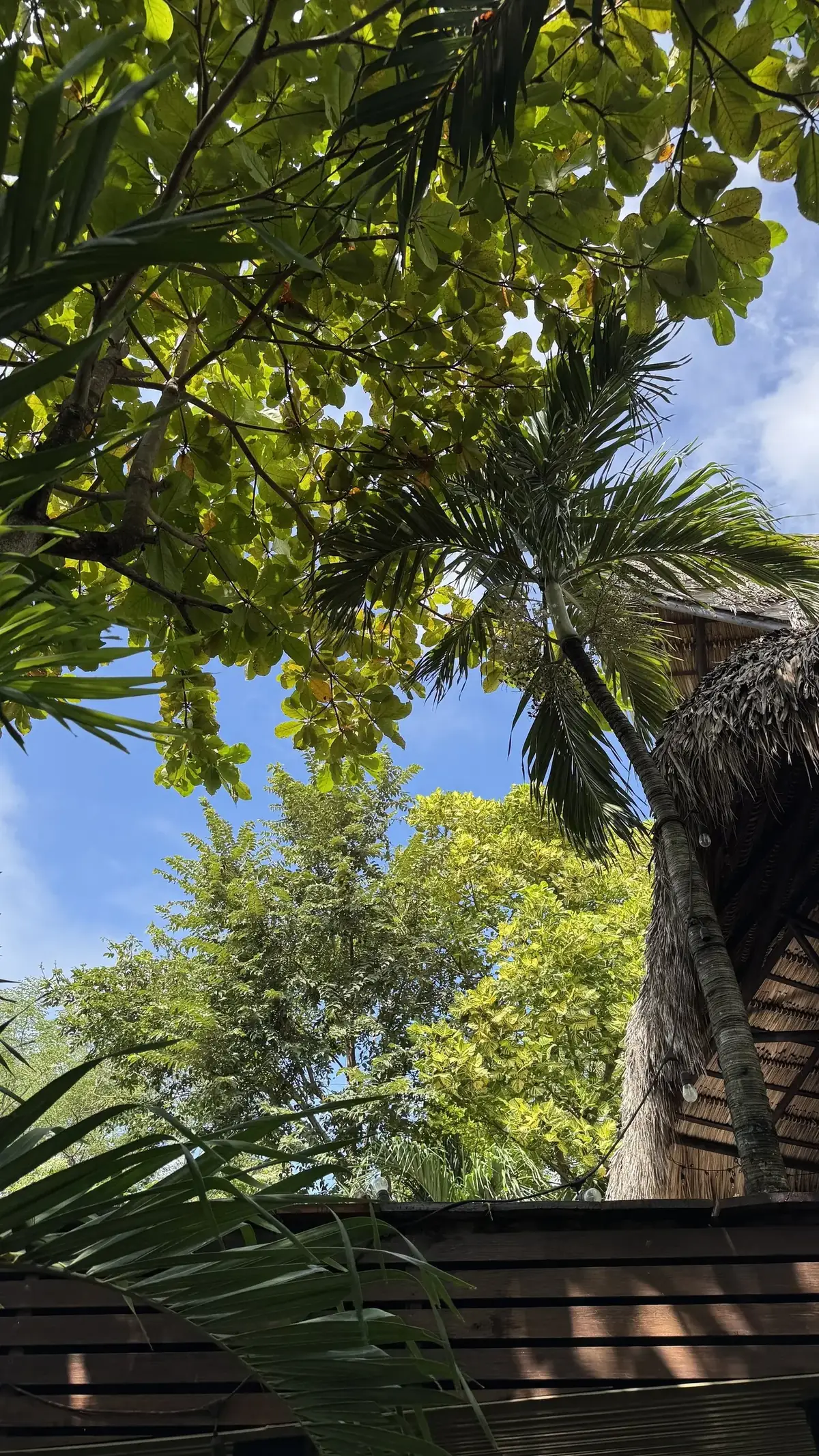 nicaragua-10.webp